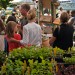 1-If you're ready to grow your own, fall vegetable starts are available