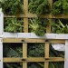 Green Grocer