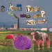 Synister Dane and the Kickapoo Disco Cosmonuts