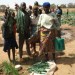 family-with-harvested-vegetables