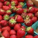 strawberries at the market