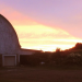 The Farm