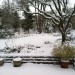 Snow in the yard