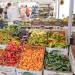 Peppers from Alvarez Organic Farms