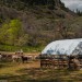 Larkhaven Farm, Tonasket WA