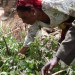 Gonder_0716