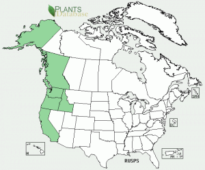 Geographic range of salmonberry. USDA