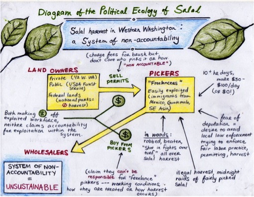 Ecology of the Salal Economy