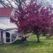 Sunroom-Small