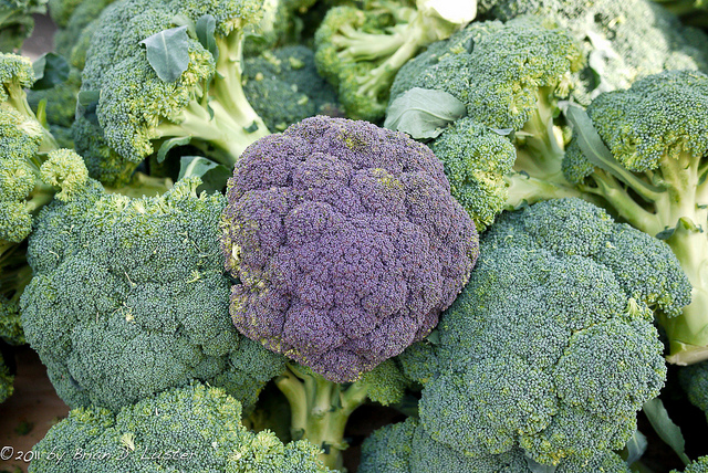 Green and Purple Broccoli