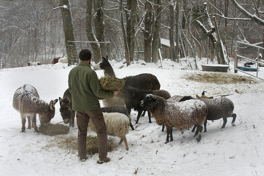 Winter in Vermont (2014)