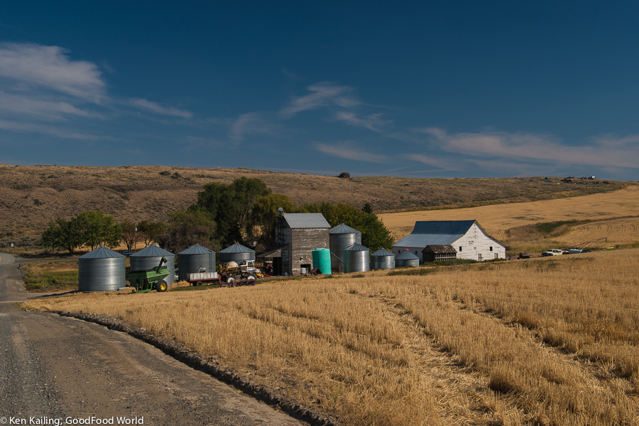 Eastern Washington Grain Farm