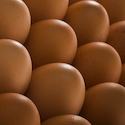FDA sends letters to farms responsible for massive egg recall