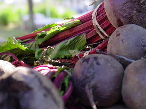 Big Ag 2, Organic Farmers 0 – USDA Approves GE Alfalfa and Sugar Beets