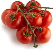 Landmark agreement to extend Fair Food principles to over 90% of Florida tomato industry