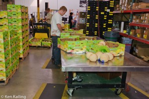 Organically Grown Melon Inspection