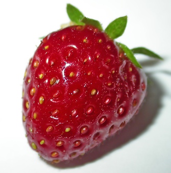 Strawberry Fields For(n)ever – California Approves Use of Methyl Iodide