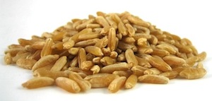 Scientific Study of KAMUT® Brand Khorasan Wheat: Good News