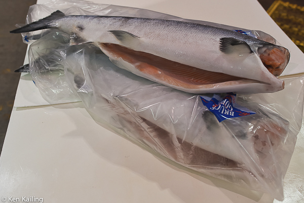 The Perfect Fish - Bruce Gore Frozen-at-Sea