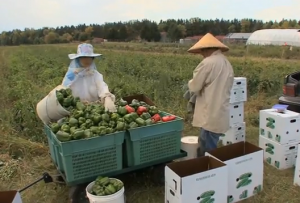 Minnesota Food Association Big River Farms Training Program