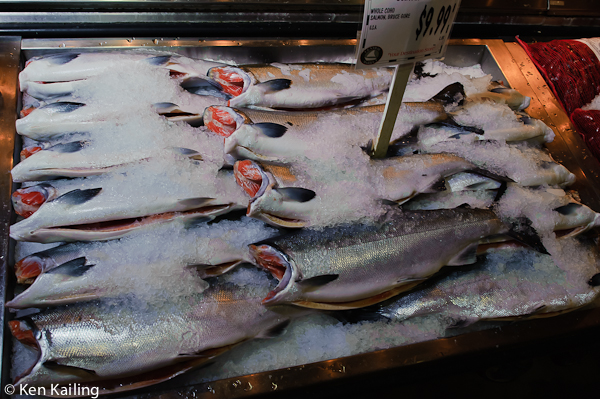 Bruce Gore Frozen-at-Sea Salmon