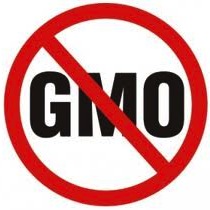 What do you know about GMOs?