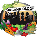 Organicology – Past But Not Over