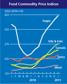 FAO Food Price Index Highest Since 1990