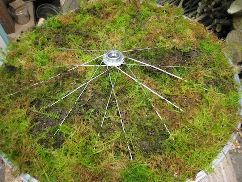 wheel4