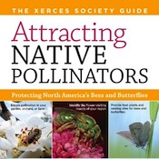 Attracting Native Pollinators: Protecting North America’s Bees and Butterflies