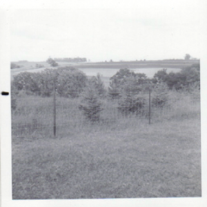 Fence and Windbreak