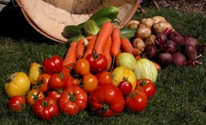 Home Garden