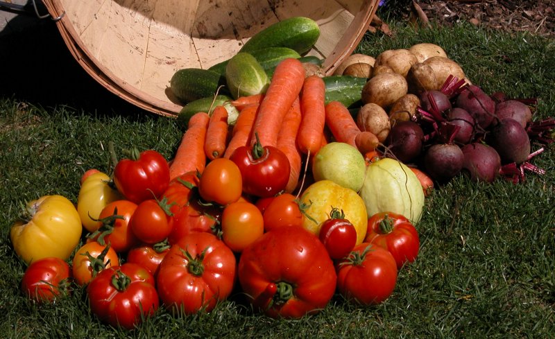 Harvest From the Kailing's Urban Home Garden, Seattle WA