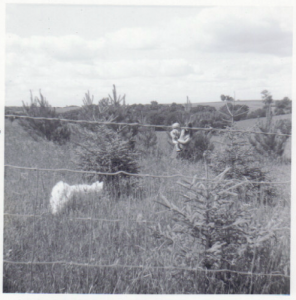 Lisa and Sean in the Windbreak