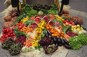 Yes, Sustainable Farming Can Feed the World