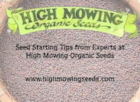 Starting Seed Tips From High Mowing Organic Seeds