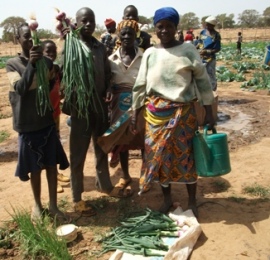 West Africa: Women in Agriculture