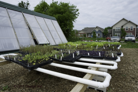 Green house and vegetables ready for planting at Troy Gardens