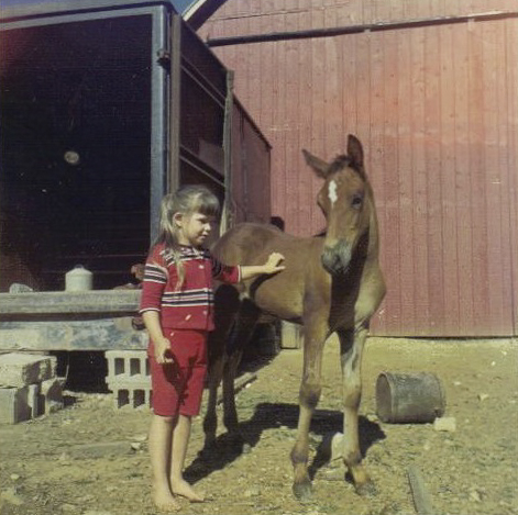 Voices From the Farm: On Birds, Gophers, Horses, Fencing, Runaway Sheep