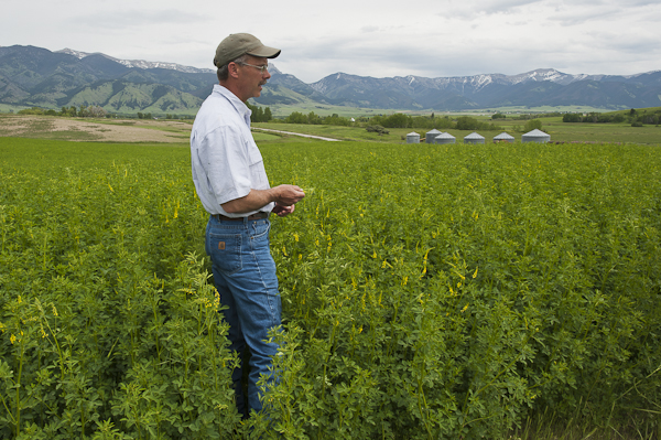 Brian Goldhahn, C5 Ranch, Bozeman MT