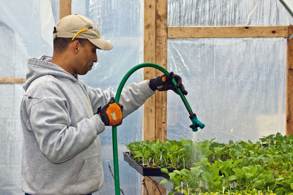 Somali Bantu Farmers Put Their Skills to Work in Washington