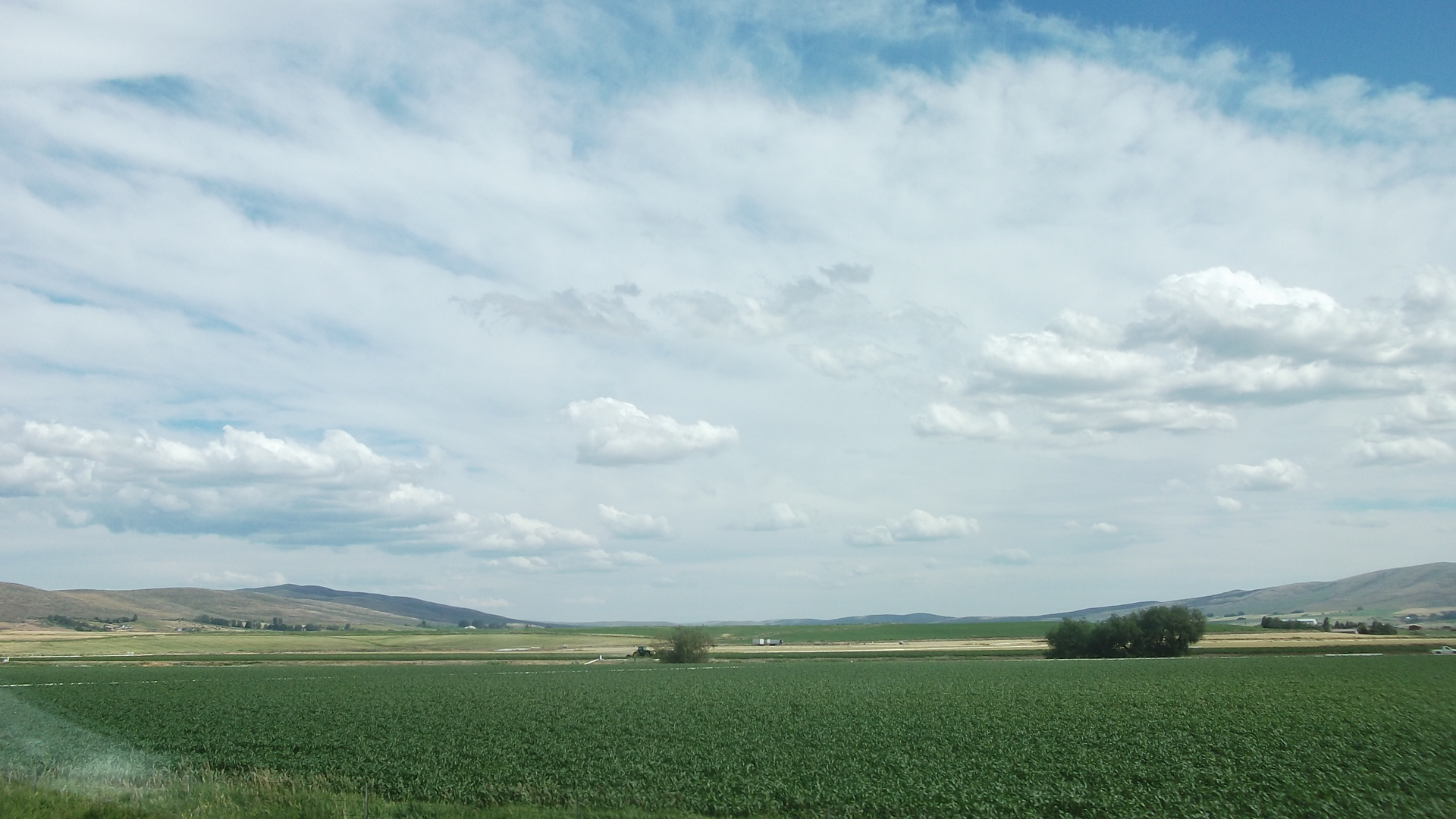 Evergreen to Tar Heel: The Highway Food Desert