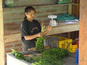 Canastas Comunitarias: an Ecuadorian alternative to industrial food systems