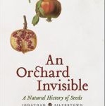An Orchard Invisible: A Natural History of Seeds by Jonathan Silvertown