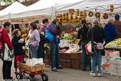 Farmers Markets – The Alternative Food System