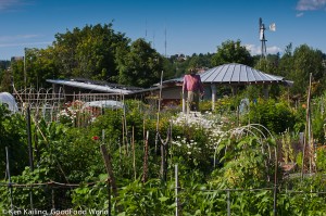 Fruits and flowers, and all kinds of vegetables