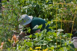 Hard at work in the garden
