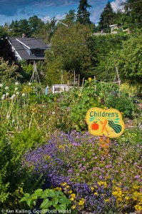 A garden just for kids