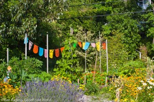 Diversity in the garden