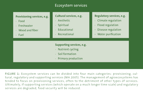 Ecosystems Services